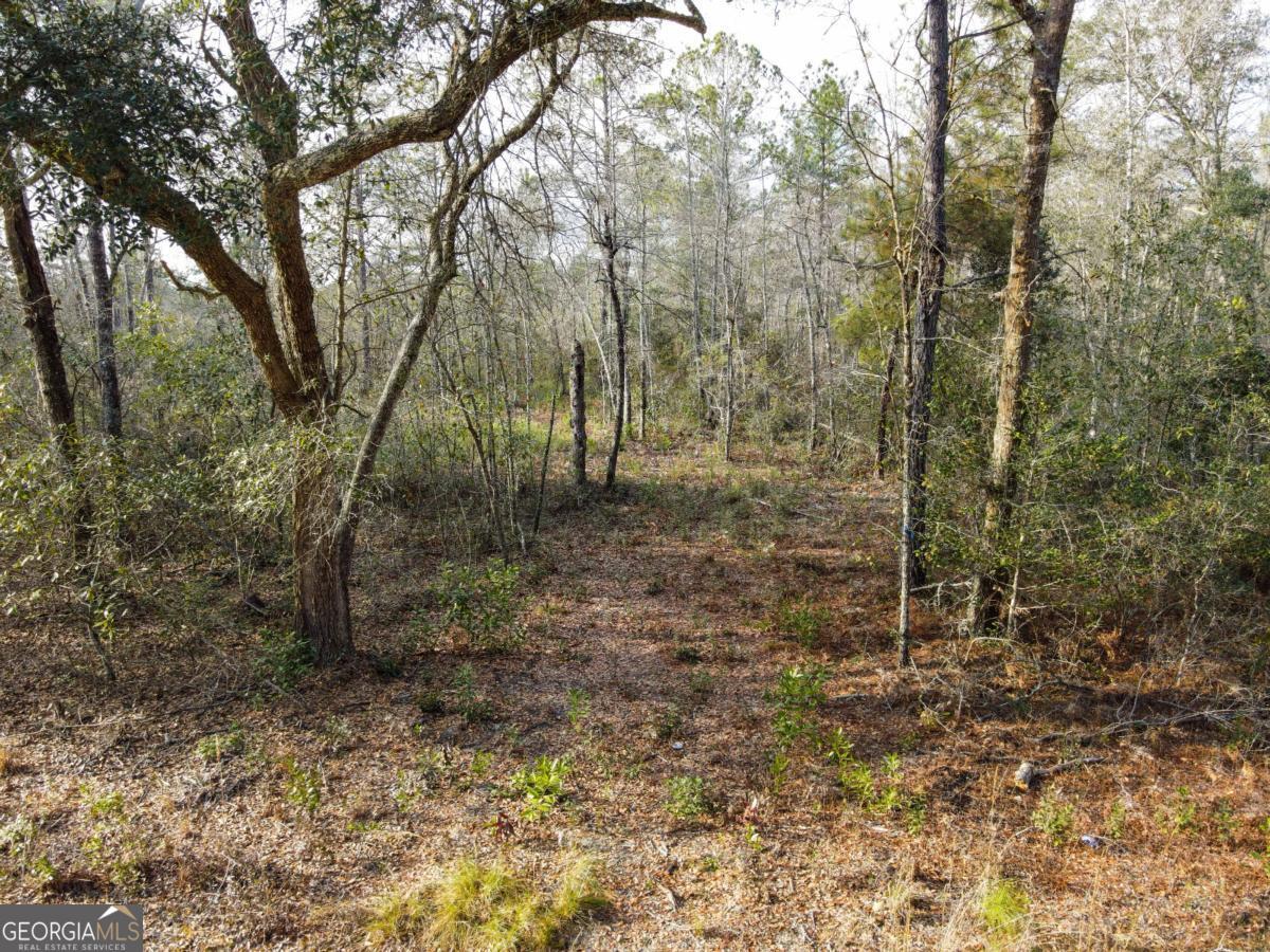 0 Floyd Road, Unit LOT 8 Pembroke, GA 31321 - Photo 1 of 1 Gallery Image 1