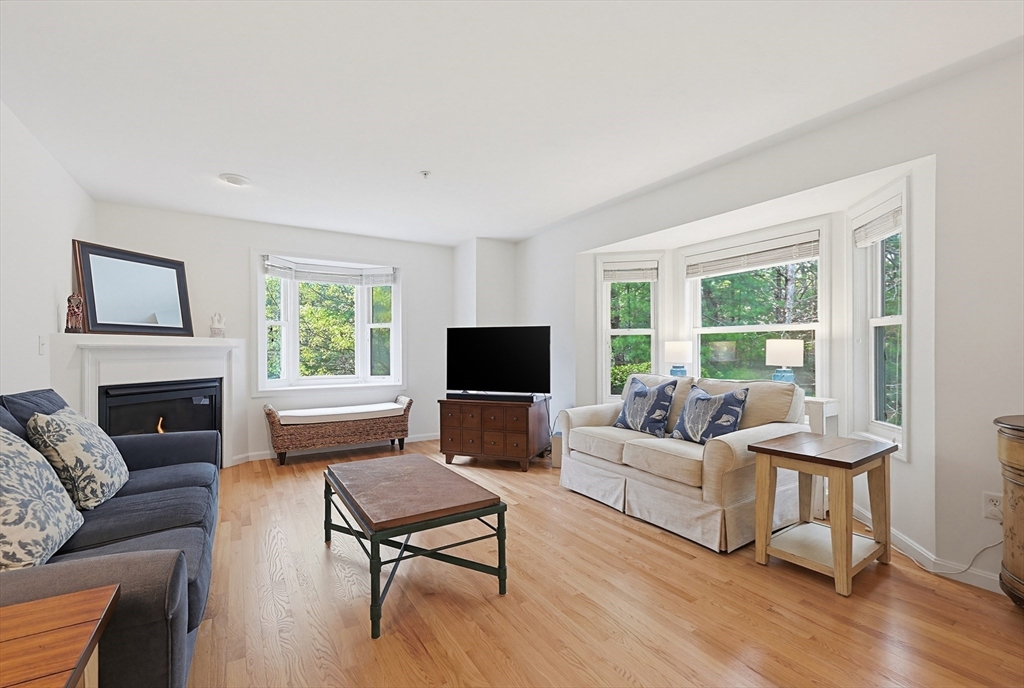 3002 Maple Brook Road, Unit 3002 Bellingham, MA 02019 - Photo 10 of 42 a living room with furniture a fireplace and a flat screen tv
