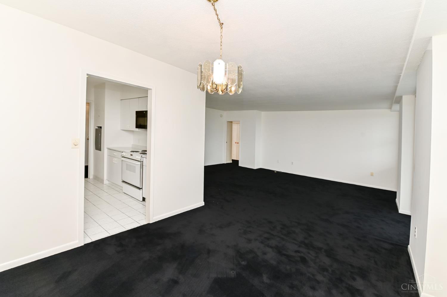 2444 Madison Road, Unit 1509 Cincinnati, OH 45208 - Photo 18 of 40