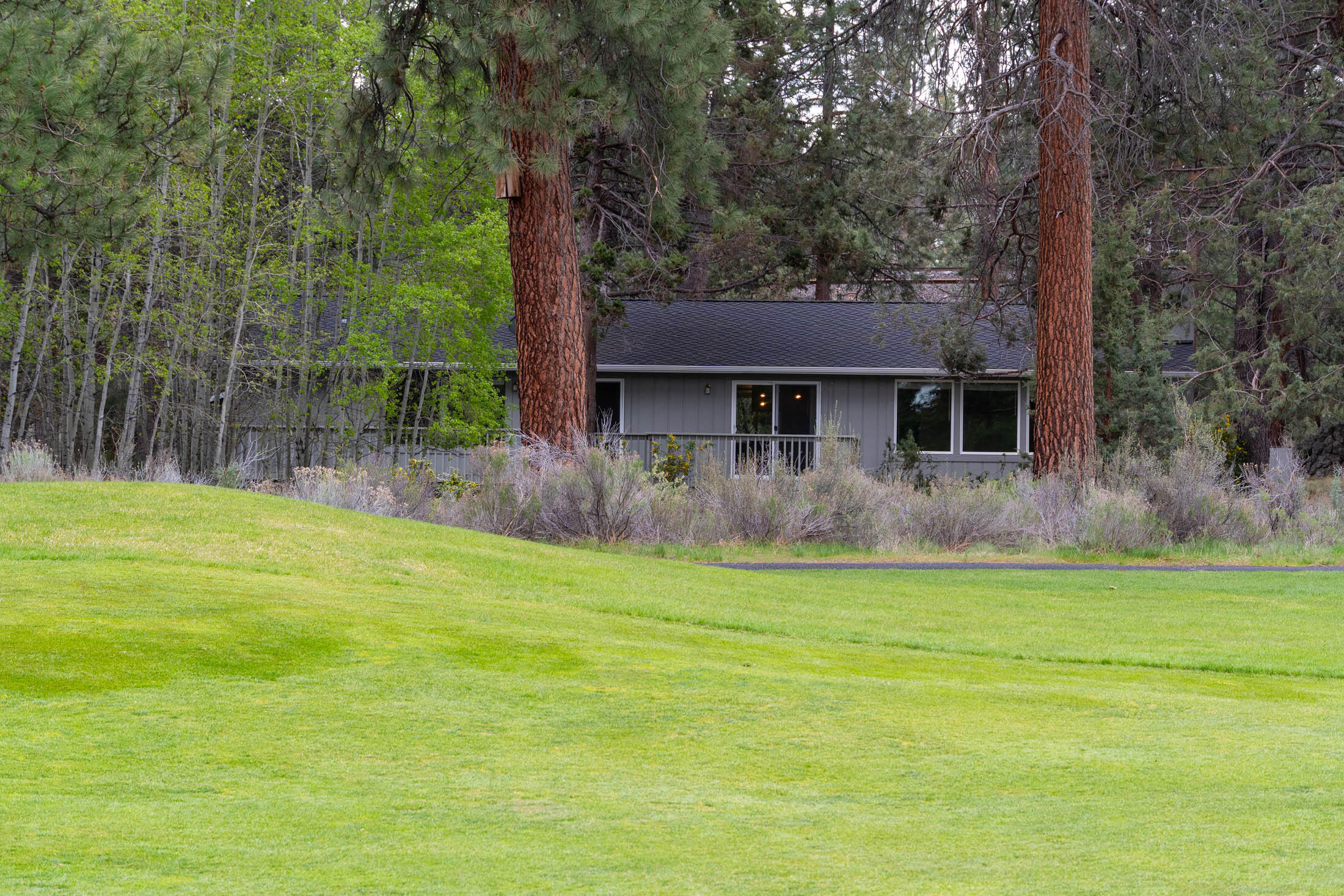 20316 Donkey Sled Road Bend, OR 97702 - Photo 34 of 50 a view of a house with a yard
