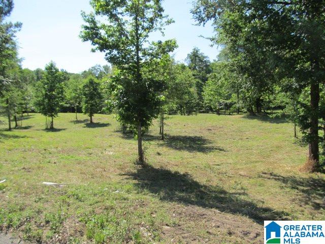 0 Choctaw Trail, Unit 10 Hayden, AL 35079 - Photo 24 of 24