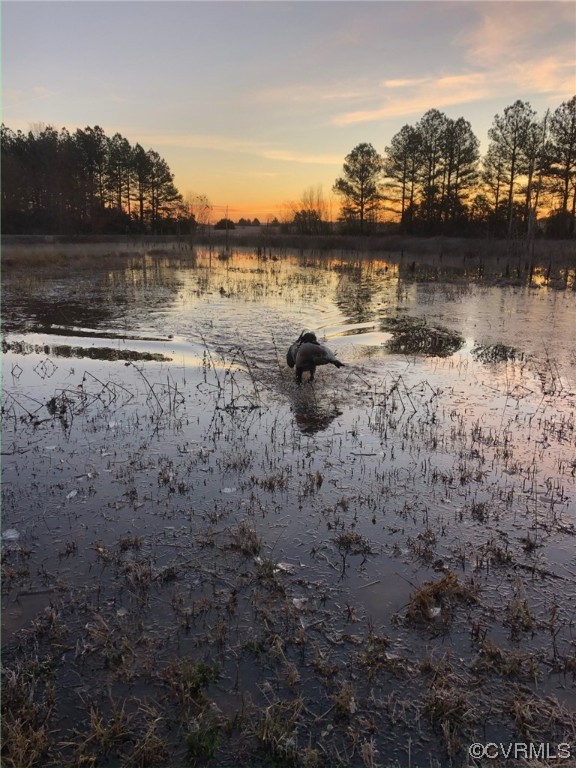 11221 Bristersburg Road Catlett, VA 20119 - Photo 43 of 49 a view of a lake with houses