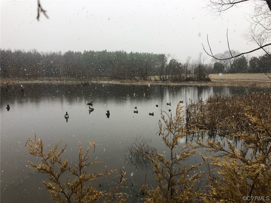 11221 Bristersburg Road Catlett, VA 20119 - Photo 44 of 49 a view of a lake with houses
