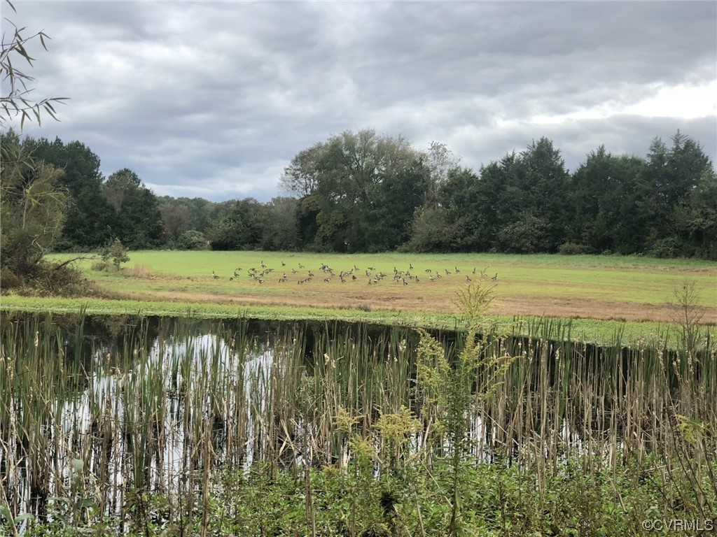11221 Bristersburg Road Catlett, VA 20119 - Photo 45 of 49 a view of a lake with a big yard