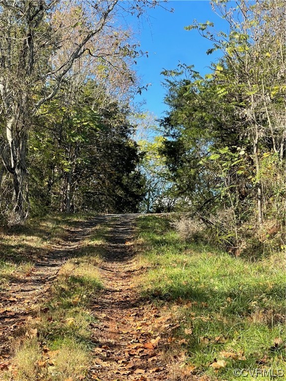 11221 Bristersburg Road Catlett, VA 20119 - Photo 49 of 49 a view of lake view