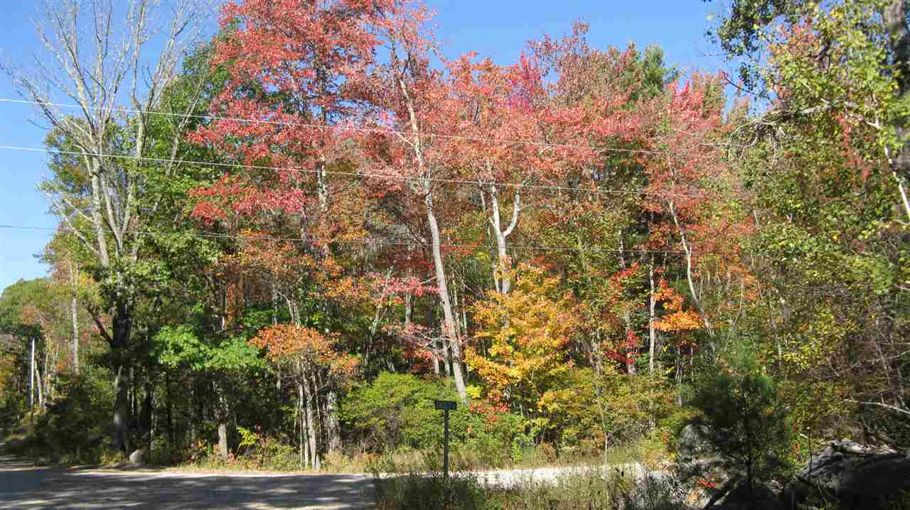 77-a-3 Chesley Road Alton, NH 03809 - Photo 1 of 16 Gallery Image 1