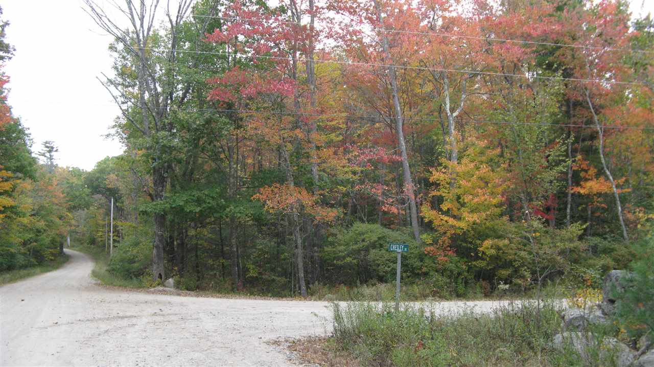 77-a-3 Chesley Road Alton, NH 03809 - Photo 11 of 16 Gallery Image 11