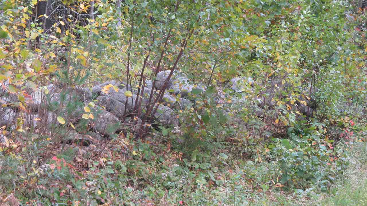 77-a-3 Chesley Road Alton, NH 03809 - Photo 6 of 16 Gallery Image 6