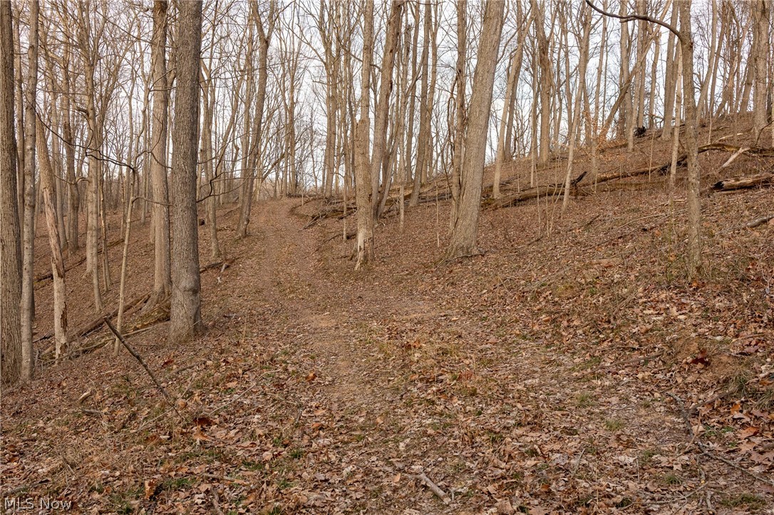 32290 Bailey Run Road Pomeroy, OH 45769 - Photo 23 of 41