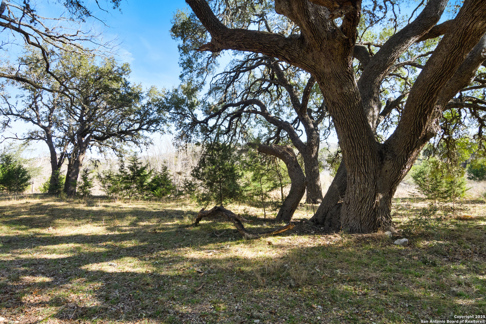 62 Turkey Trot Uvalde, TX 78801 - Photo 23 of 39 a view of outdoor space with trees
