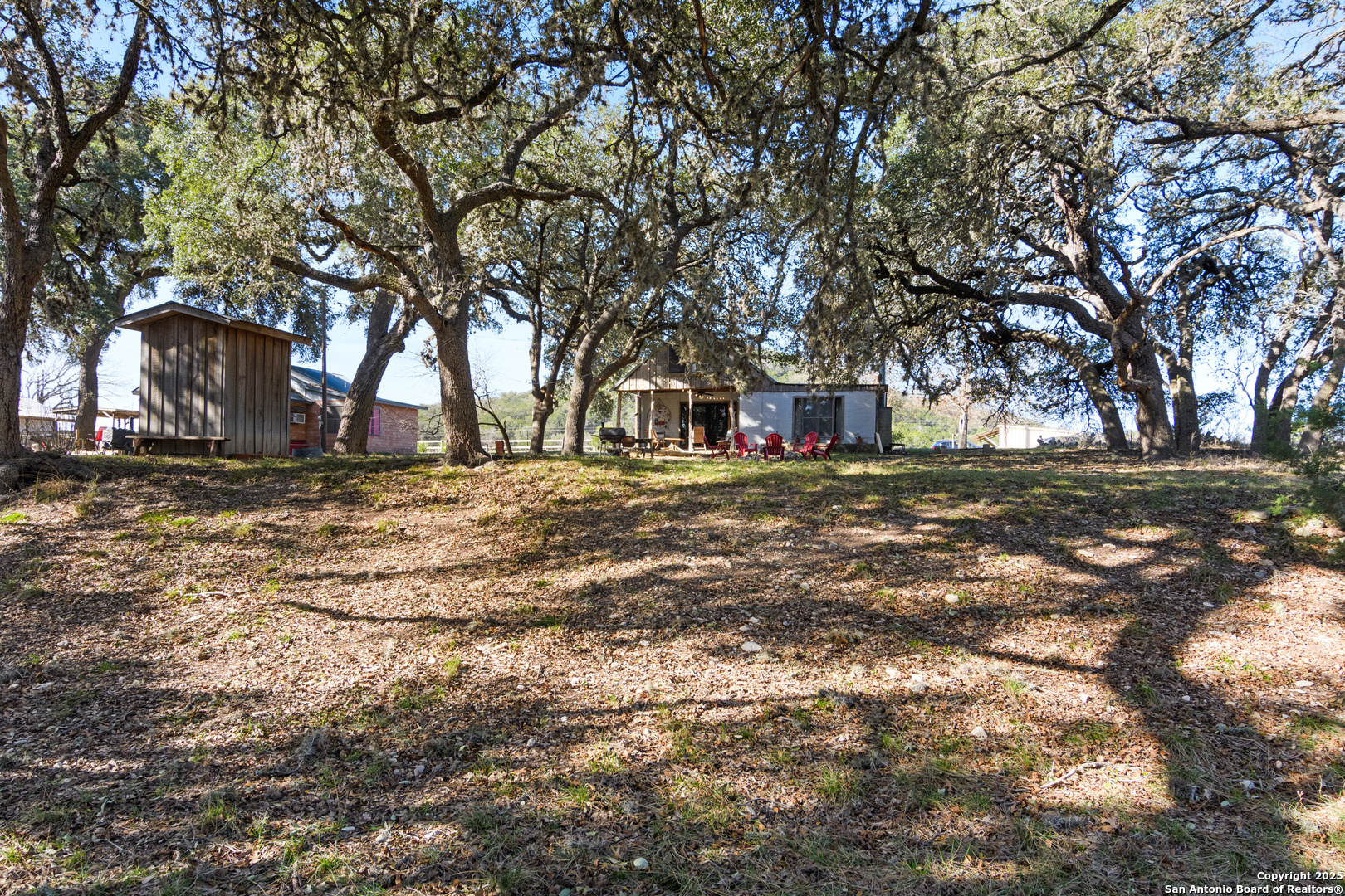 62 Turkey Trot Uvalde, TX 78801 - Photo 24 of 39 a view of a yard with a tree