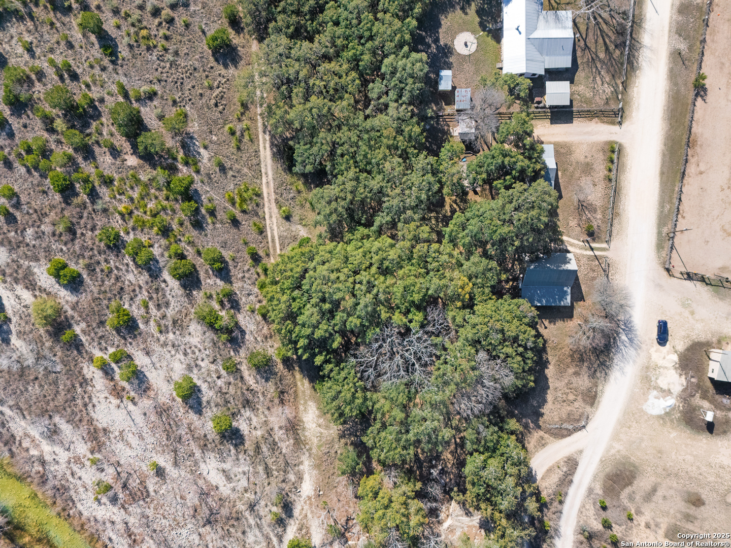 62 Turkey Trot Uvalde, TX 78801 - Photo 29 of 39 a view of a yard with plants