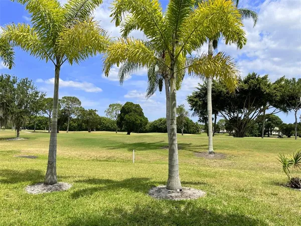 a view of a park