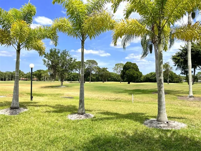 a view of a swimming pool with a yard