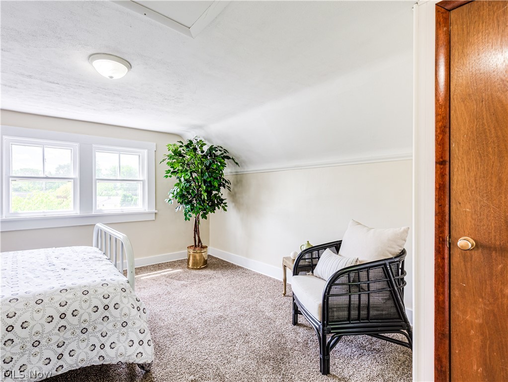377 East Wilbeth Road Akron, OH 44301 - Photo 19 of 25 Bedroom featuring vaulted ceiling, carpet, and a textured ceiling