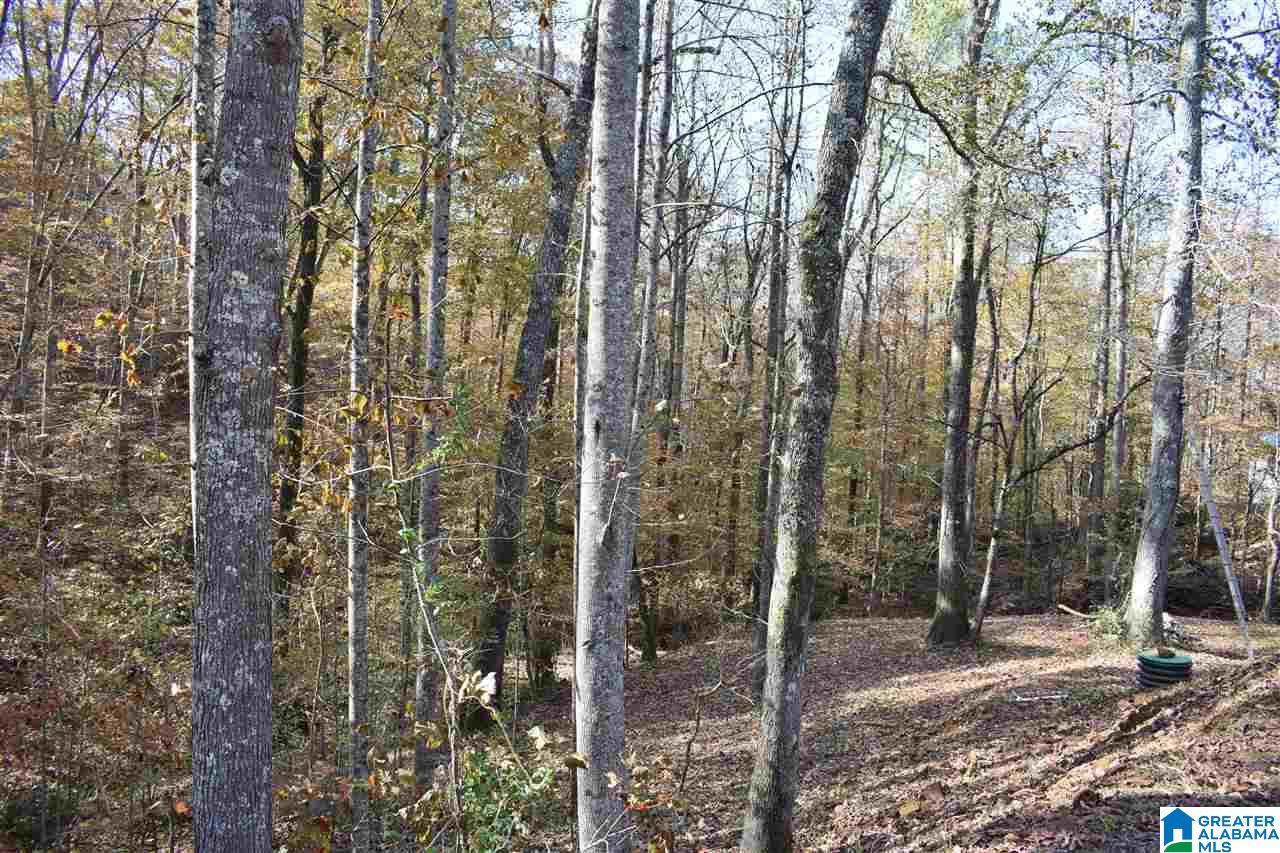 8840 Zuber Road Springville, AL 35146 - Photo 32 of 32 Gallery Image 32