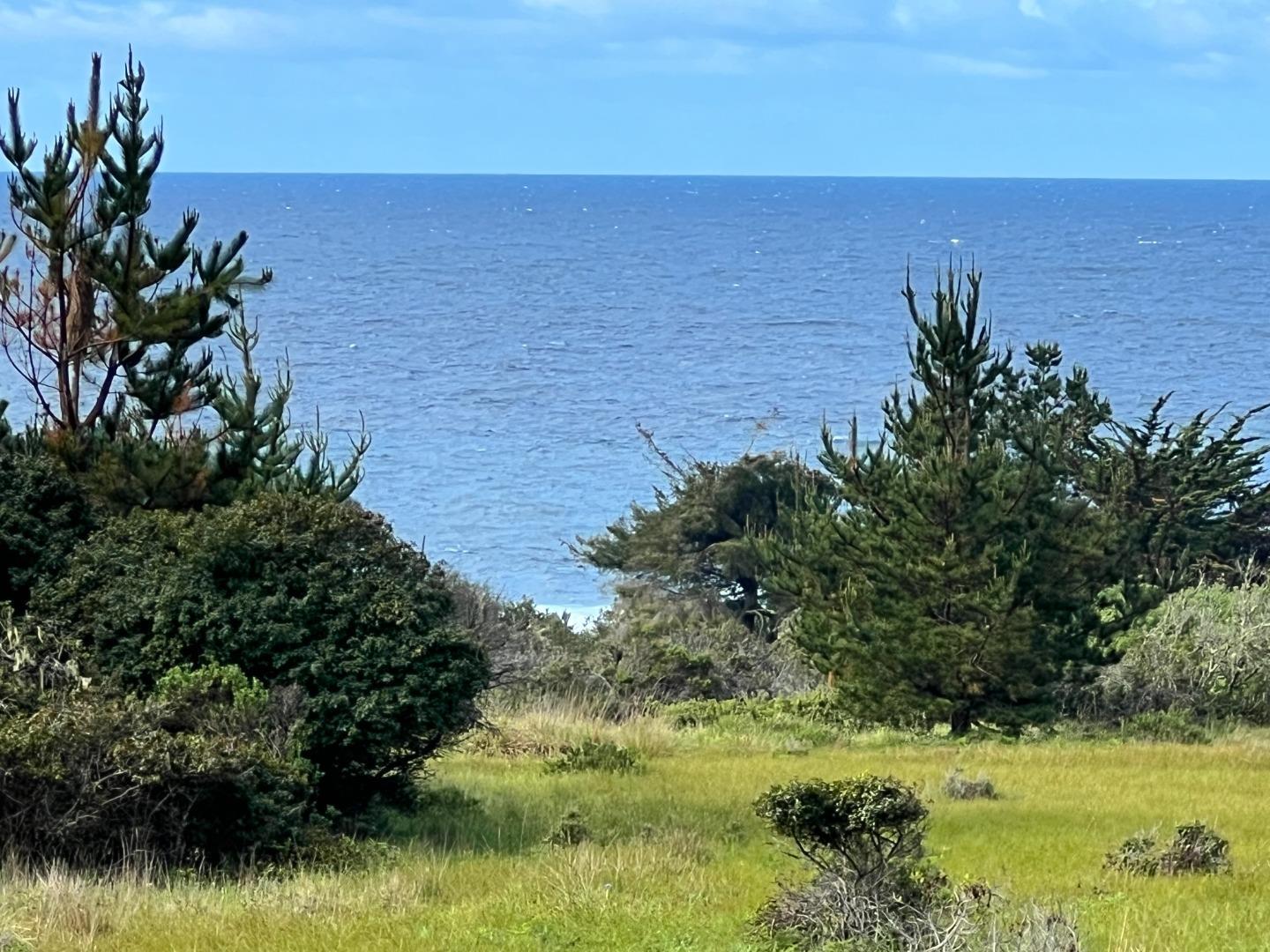 375 Spur Close The Sea Ranch, CA 95497 - Photo 6 of 16