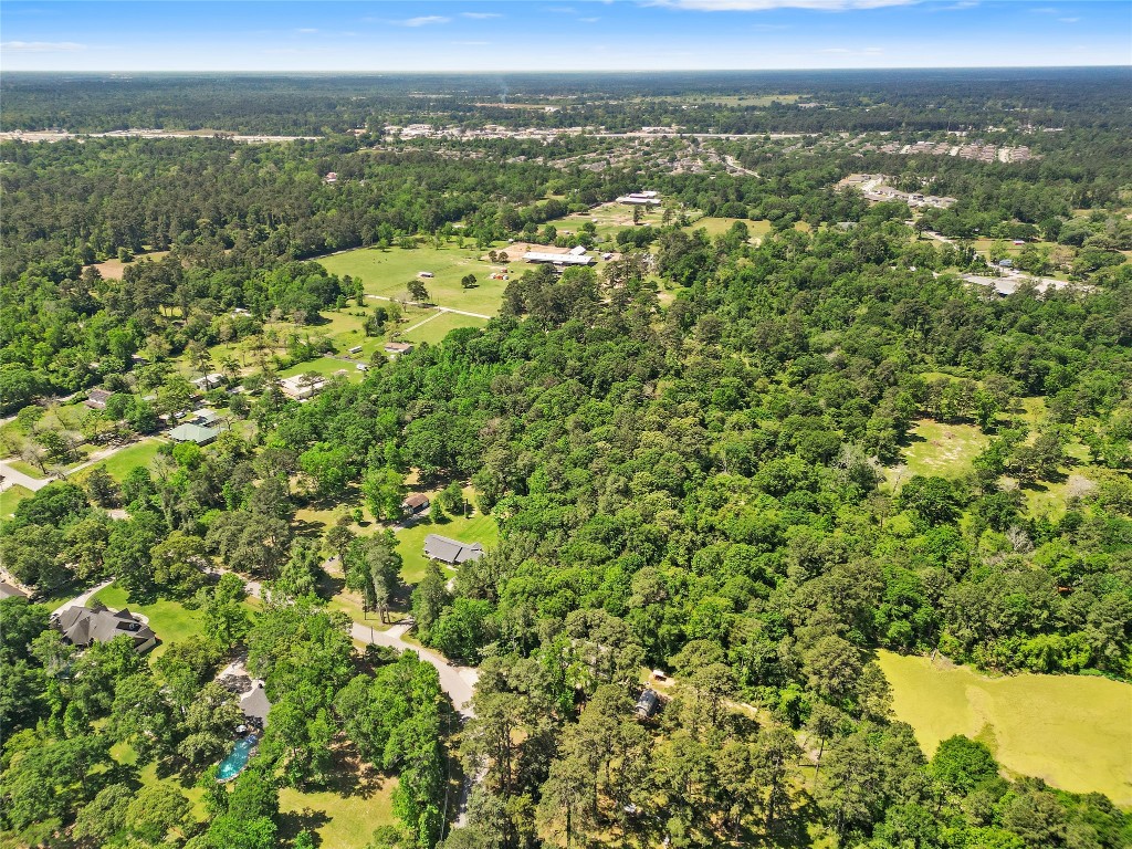 1107 Virgie Community Road Magnolia, TX 77354 - Photo 11 of 12 a view of a city with an ocean