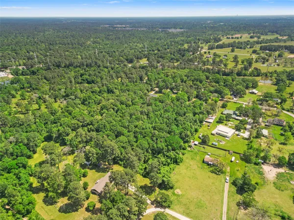 a view of a city with lush green forest