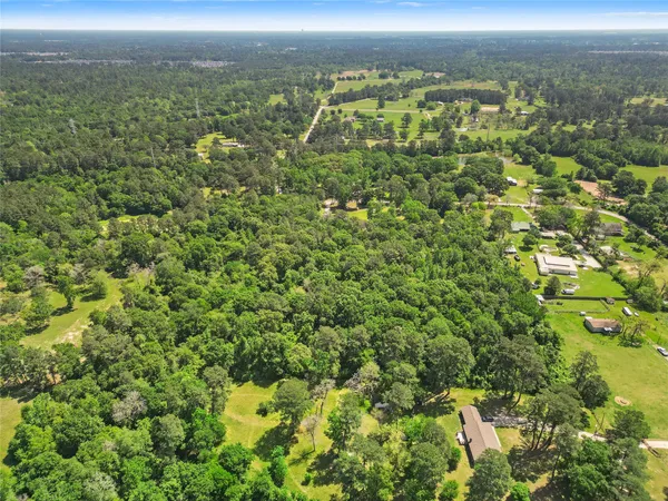 a view of a city with lush green forest