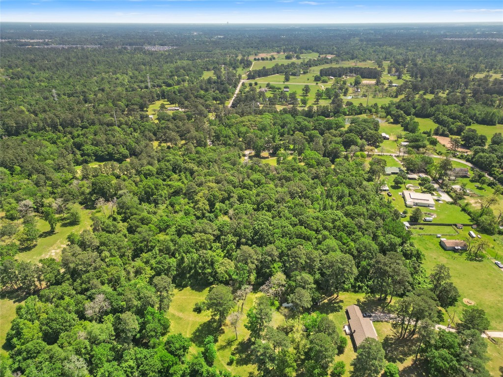1107 Virgie Community Road Magnolia, TX 77354 - Photo 9 of 12 a view of a city with lush green forest