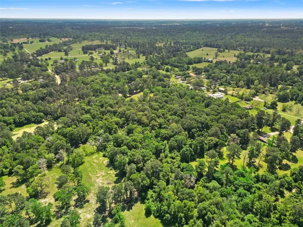 a view of a city with lush green forest