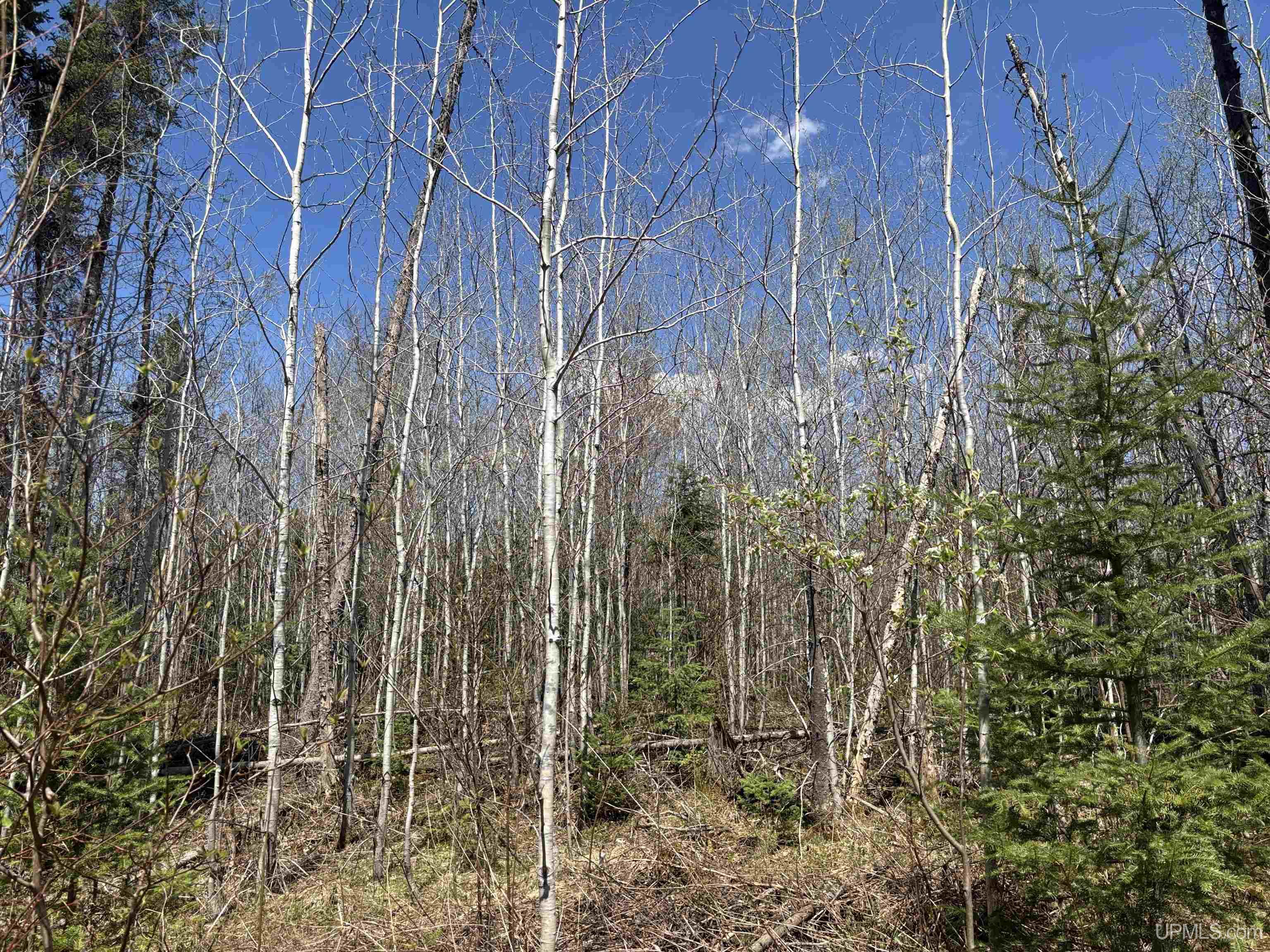 On Dunham Road Marenisco, MI 49947 - Photo 11 of 47