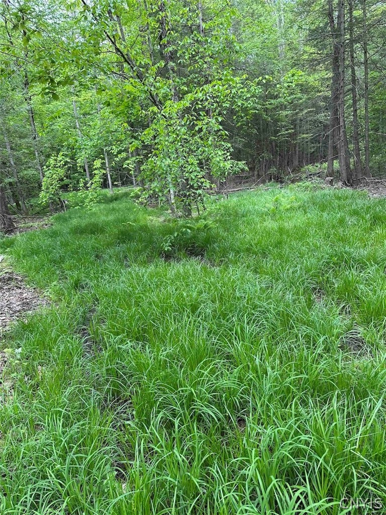 1501 Old State Road Colesville, NY 13833 - Photo 13 of 28