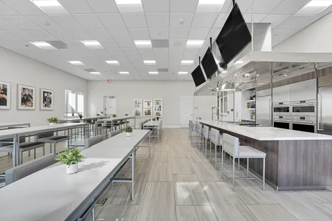 a room with table chairs and a potted plant
