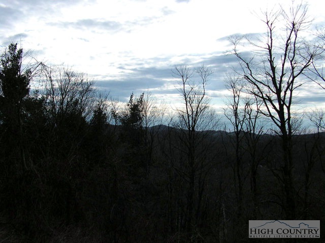 Briarcliff Road Blowing Rock, NC 28605 - Photo 1 of 5 Gallery Image 1