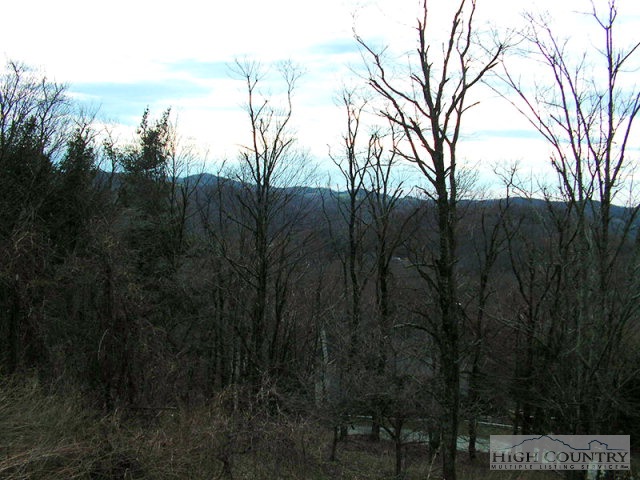 Briarcliff Road Blowing Rock, NC 28605 - Photo 3 of 5 Gallery Image 3