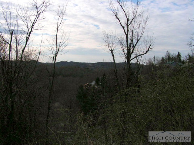 Briarcliff Road Blowing Rock, NC 28605 - Photo 4 of 5 Gallery Image 4