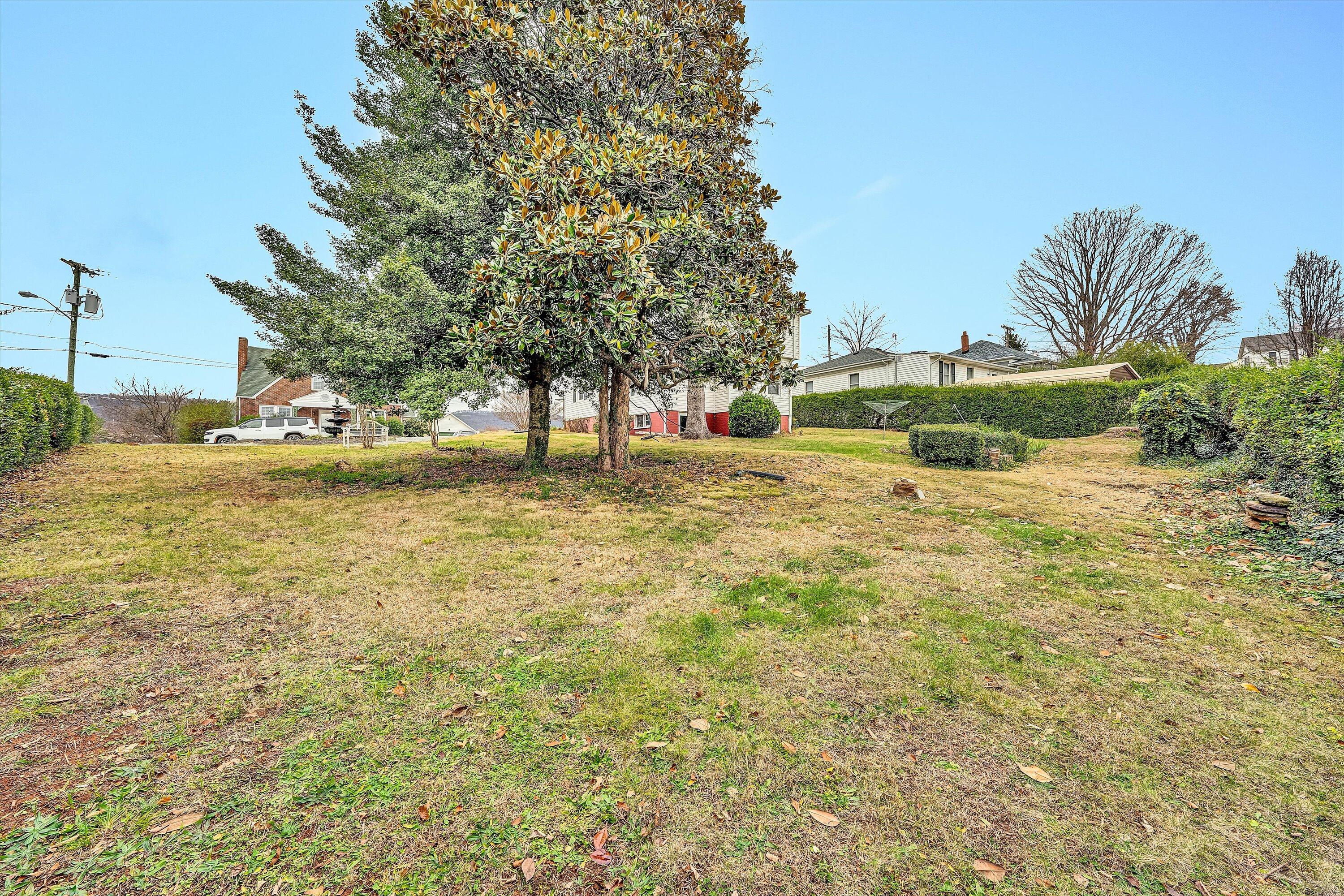 40 High Street Rocky Mount, VA 24151 - Photo 33 of 36 a view of an ocean view
