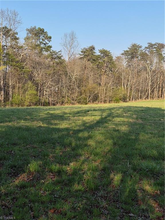 1456 McDaniel Road Pilot Mountain, NC 27041 - Photo 11 of 24 A beautiful field
