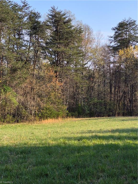 1456 McDaniel Road Pilot Mountain, NC 27041 - Photo 12 of 24