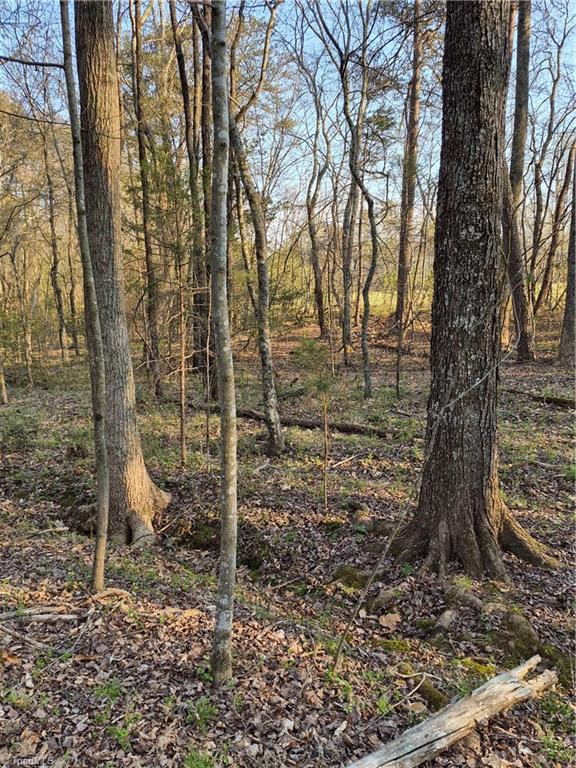 1456 McDaniel Road Pilot Mountain, NC 27041 - Photo 13 of 24