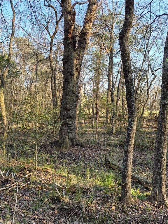 1456 McDaniel Road Pilot Mountain, NC 27041 - Photo 14 of 24