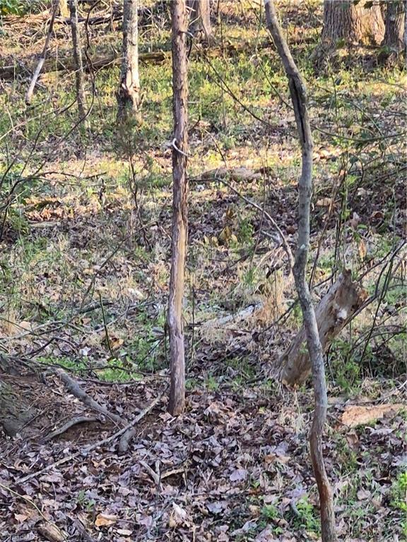 1456 McDaniel Road Pilot Mountain, NC 27041 - Photo 15 of 24