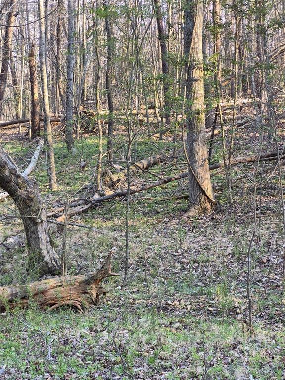 1456 McDaniel Road Pilot Mountain, NC 27041 - Photo 16 of 24