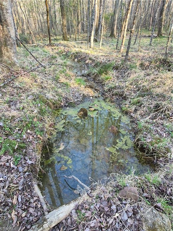 1456 McDaniel Road Pilot Mountain, NC 27041 - Photo 17 of 24 A Great Spring in the rear of the property