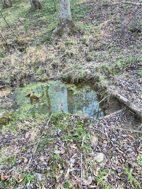 1456 McDaniel Road Pilot Mountain, NC 27041 - Photo 18 of 24 The Spring