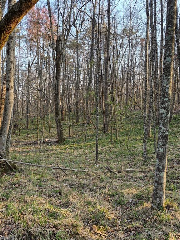 1456 McDaniel Road Pilot Mountain, NC 27041 - Photo 19 of 24 Open Woods