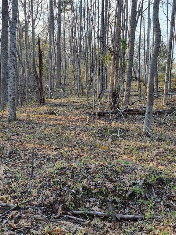 1456 McDaniel Road Pilot Mountain, NC 27041 - Photo 20 of 24