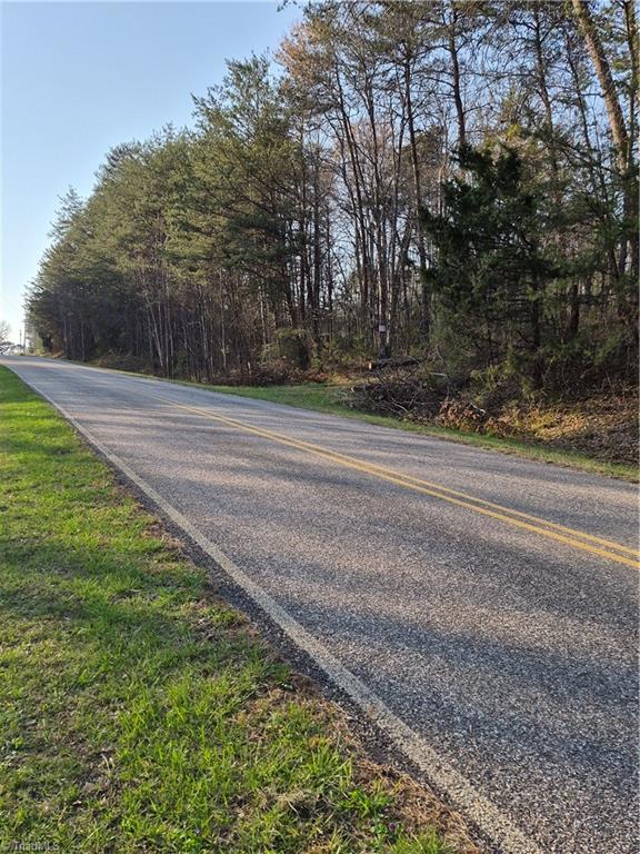 1456 McDaniel Road Pilot Mountain, NC 27041 - Photo 2 of 24