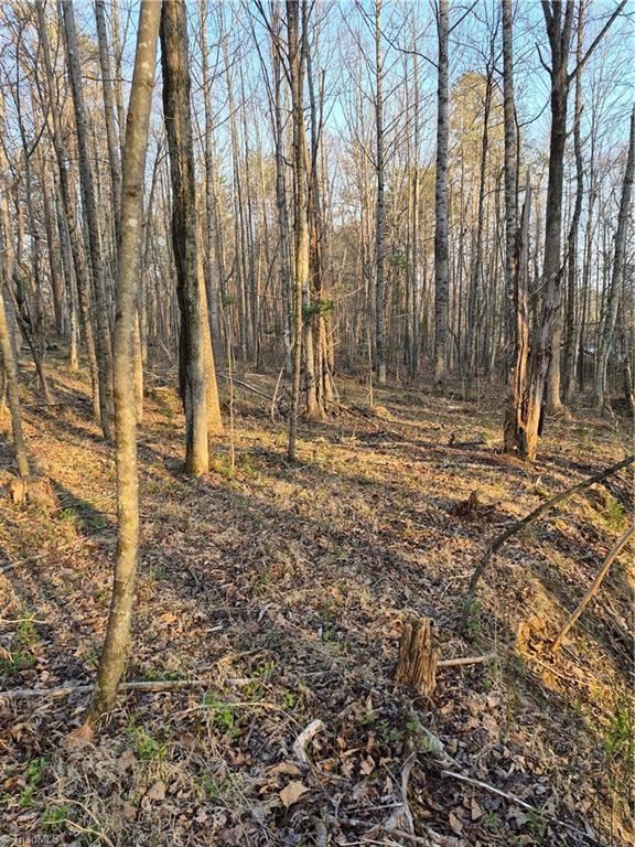 1456 McDaniel Road Pilot Mountain, NC 27041 - Photo 21 of 24