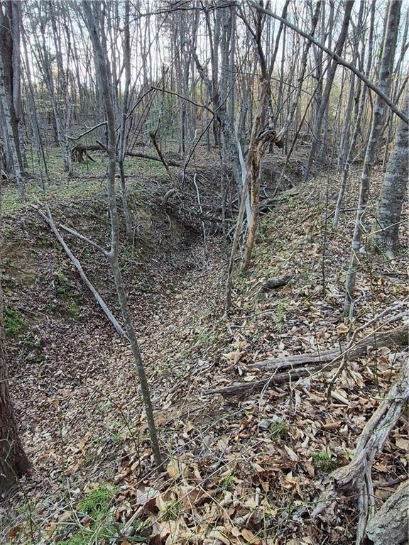 1456 McDaniel Road Pilot Mountain, NC 27041 - Photo 22 of 24 an old drain in the woods