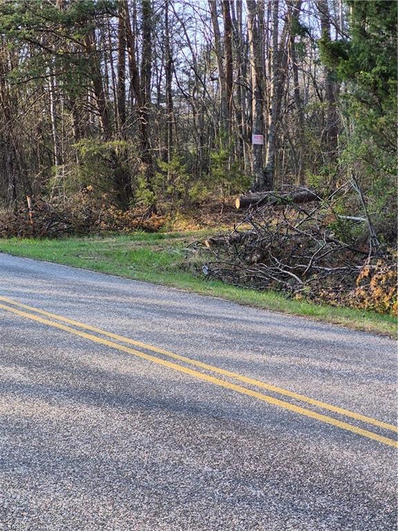 1456 McDaniel Road Pilot Mountain, NC 27041 - Photo 3 of 24