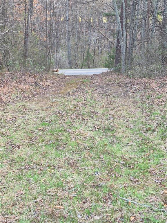 1456 McDaniel Road Pilot Mountain, NC 27041 - Photo 4 of 24