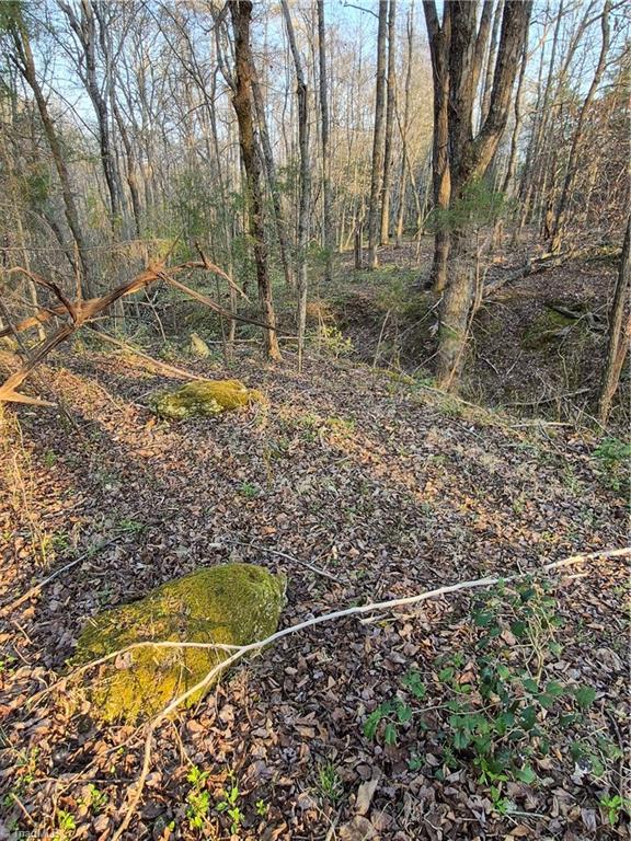 1456 McDaniel Road Pilot Mountain, NC 27041 - Photo 6 of 24