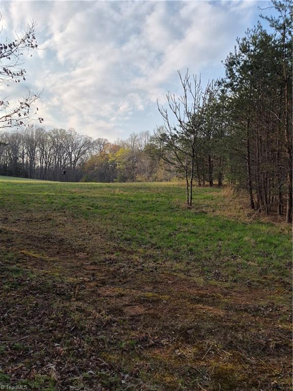 1456 McDaniel Road Pilot Mountain, NC 27041 - Photo 8 of 24